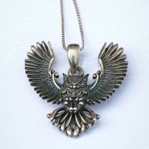 Dije Historia Búho Sabio