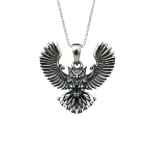 Dije Historia Búho Sabio